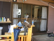 20100608 023.jpgのサムネール画像
